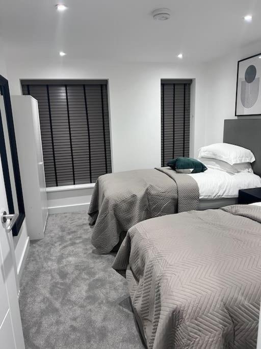 4-Level Luxury 2 Bedroom House Sleeps 6, Rooftop, Harry P & Free Parking Watford  Eksteriør billede